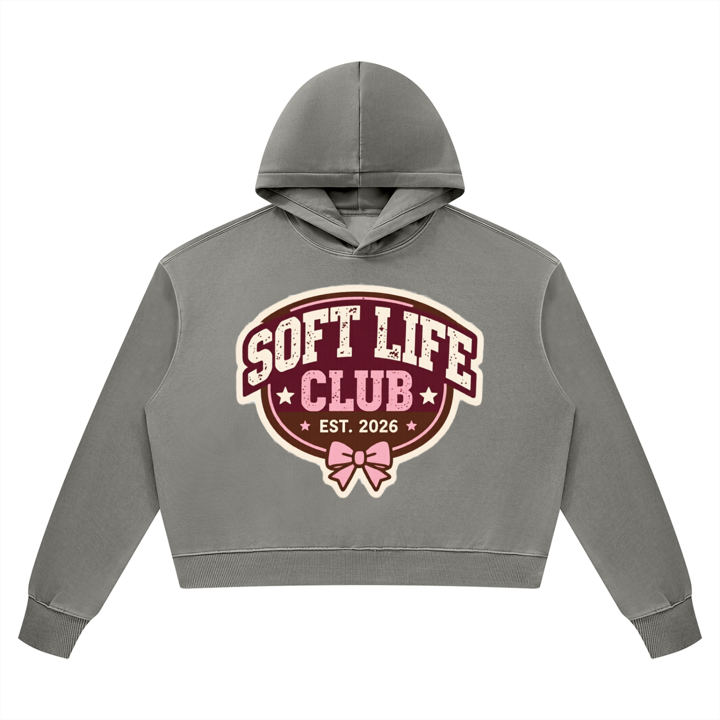 Soft Life Club Vintage Wash Heavyweight Hoodie
