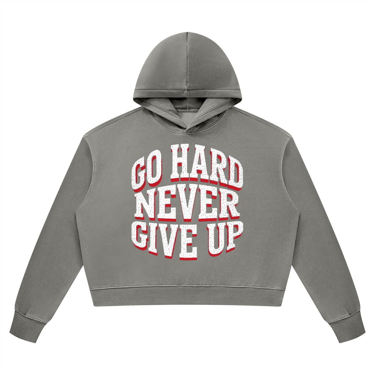 Go Hard Never Give Up Vintage Wash Heavyweight Hoodie