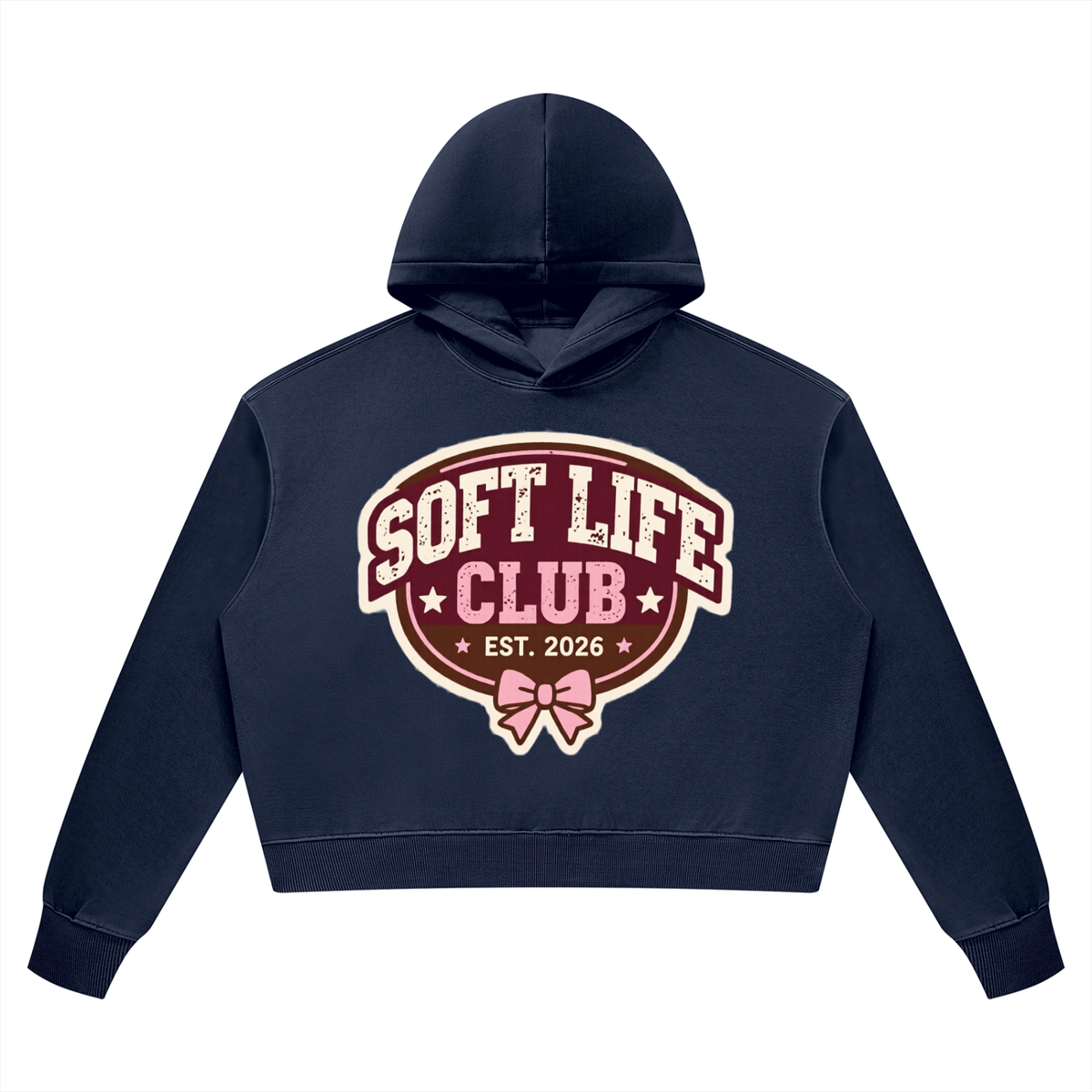 Soft Life Club Vintage Wash Heavyweight Hoodie